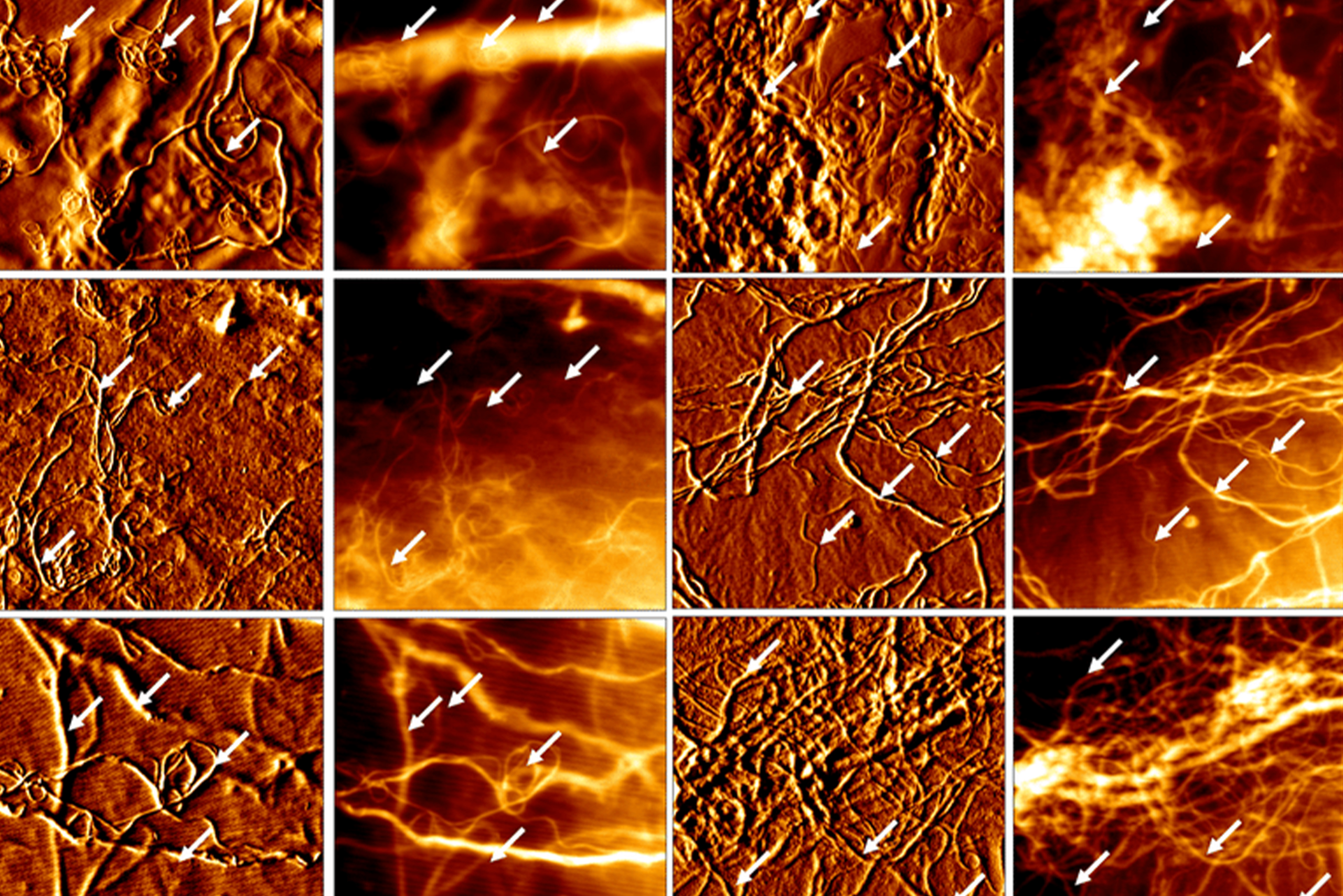 NANO <br> TECHNOLOGY