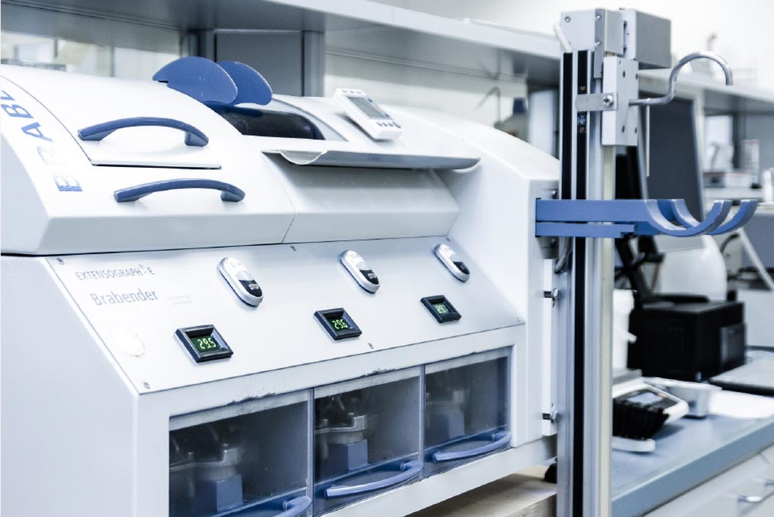 WHEAT FLOUR <br> RHEOLGY